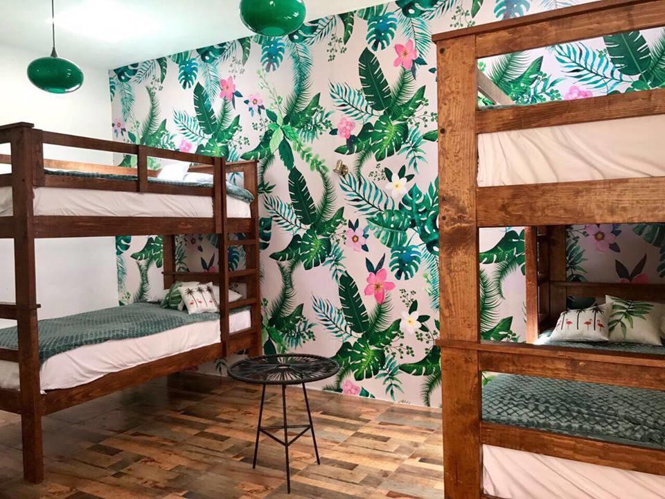 Hoja Santa Hostal Boutique โชลูลา ภายนอก รูปภาพ